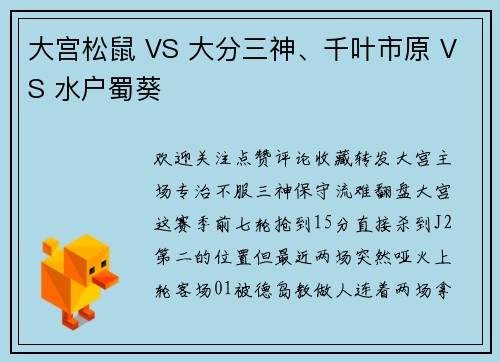 大宫松鼠 VS 大分三神、千叶市原 VS 水户蜀葵